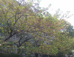 SN3F0022.jpg